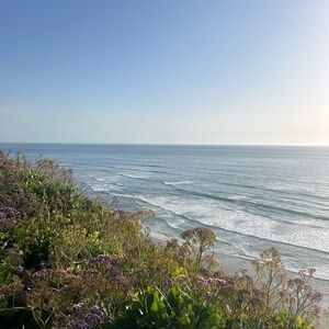 Meet your Posher, Carrington